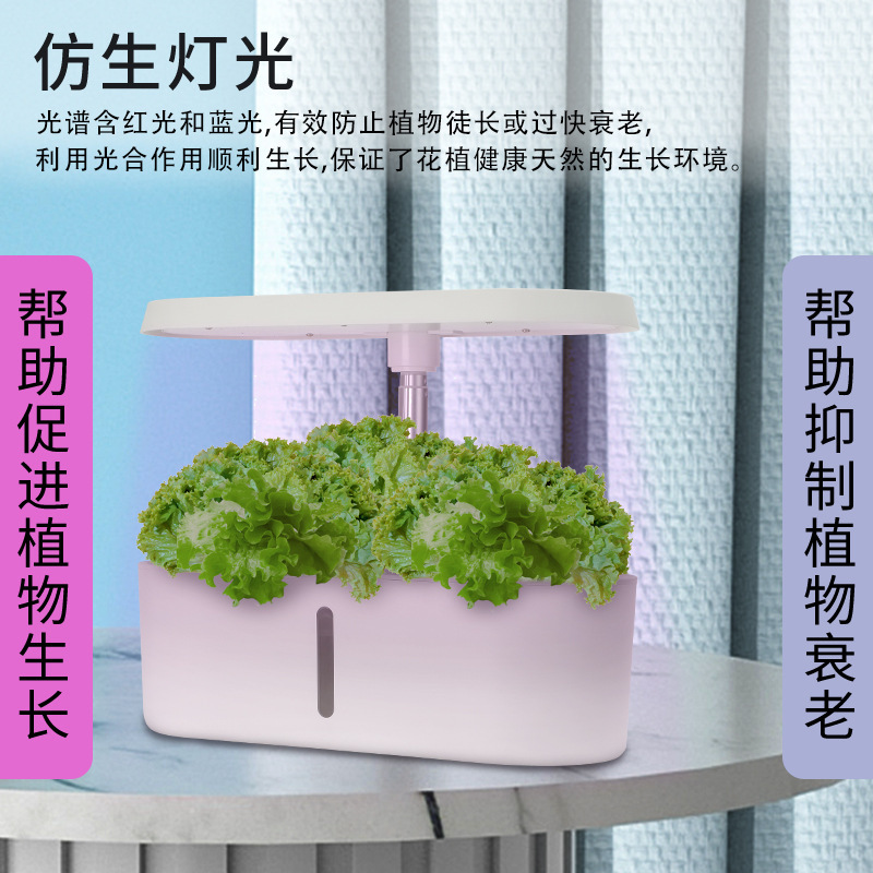 Home Smart Hydroponic Vegetabl - Smart Home ulasan dan harga