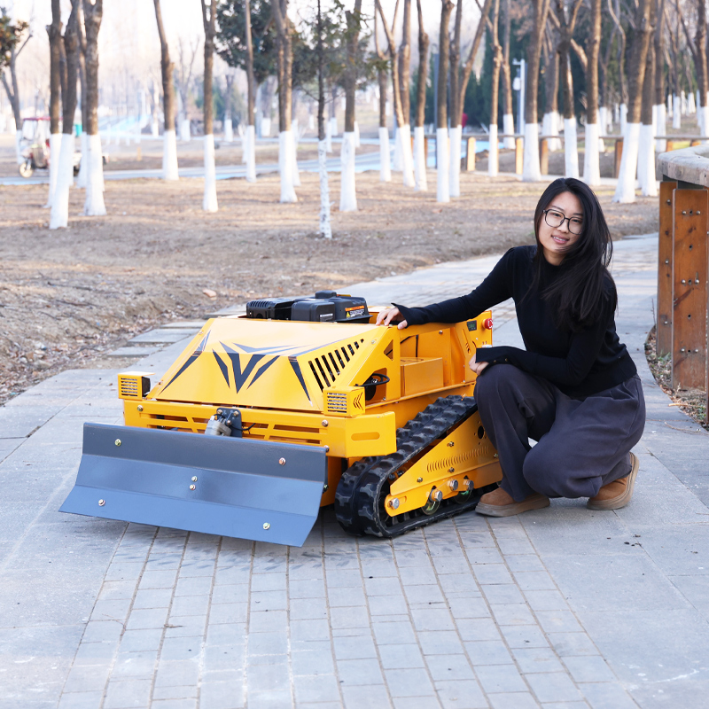 Customized Smart Durable Grass - Smart Home Energy ulasan dan harga